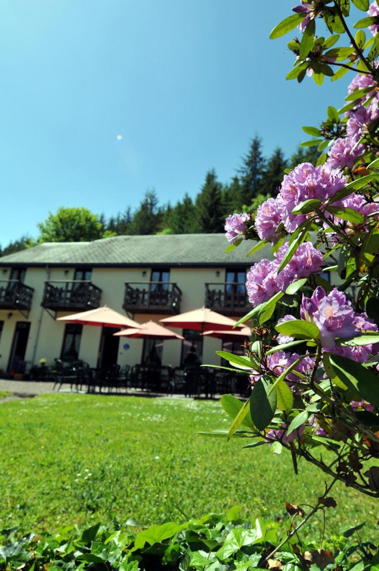 Hotel Gai-Sejour La-Roche-en-Ardenne Exterior foto